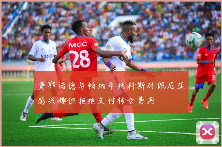费耶诺德与帕纳辛纳科斯对佩尼亚感兴趣但拒绝支付转会费用