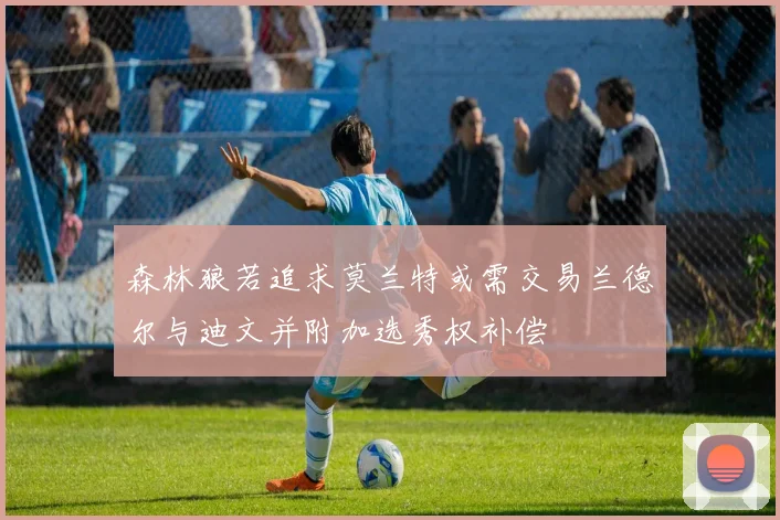 森林狼若追求莫兰特或需交易兰德尔与迪文并附加选秀权补偿